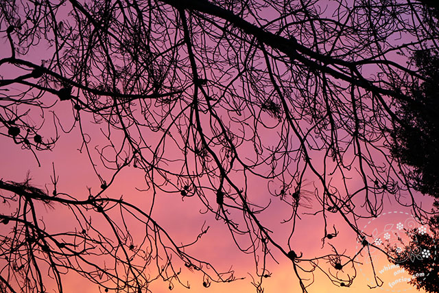 Stormy Pastel Autumn Sky | Whims And Fancies