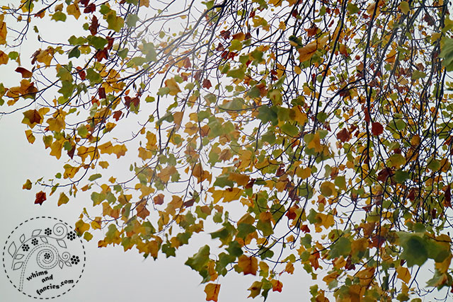 Stormy Autumn Leaves | Whims And Fancies