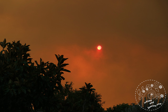 Northern California Wildfire Napa County | Whims And Fancies