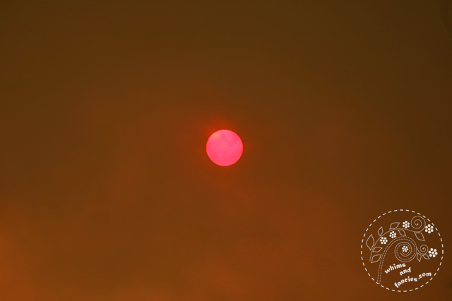 Northern California Wildfire Sun | Whims And Fancies