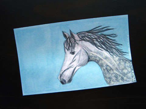 ICAD 2015 - Grey dapple foal | Whims And Fancies