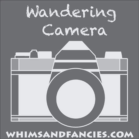 Camera And Photography Linky Party | Whims And Fancies