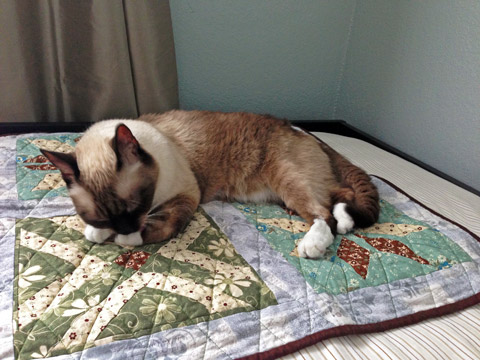 Cat Quilt | Whims And Fancies
