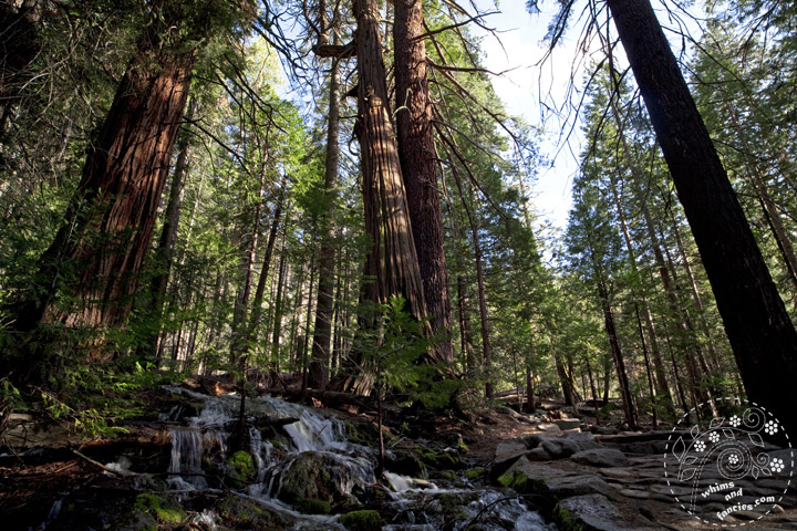John Muir Trail, Yosemite National Park | Whims And Fancies