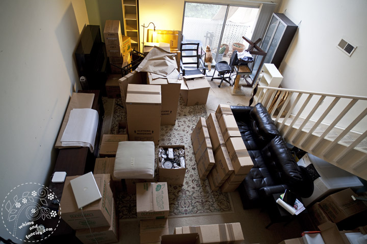 Moving Day | Whims And Fancies