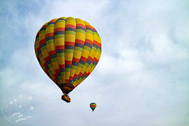 Hot Air Balloons Napa California | Whims And Fancies