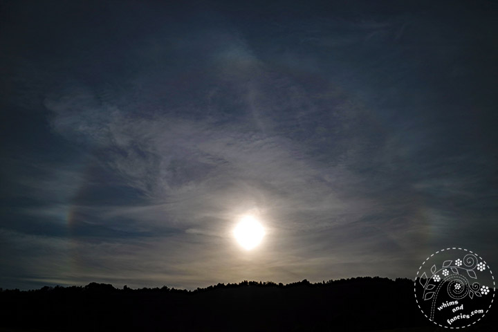 Sun Bow | Whims And Fancies