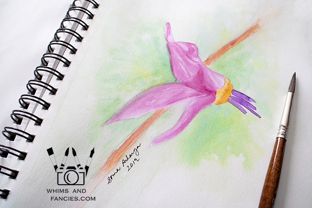 Shooting Star Wildflower Watercolour Painting | Whims And Fancies