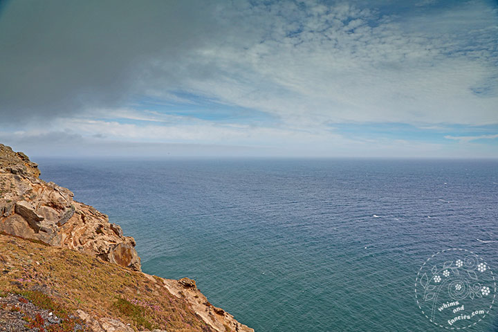 Point Reyes, California | Whims And Fancies