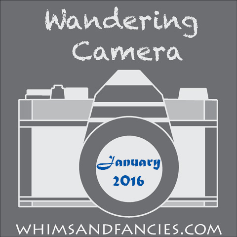 Camera And Photo Linky Party | Whims And Fancies