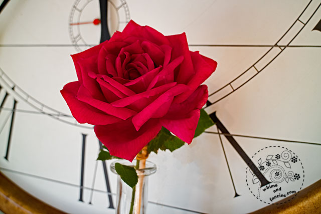 Solitary Rose And Ticking Clock | Whims And Fancies