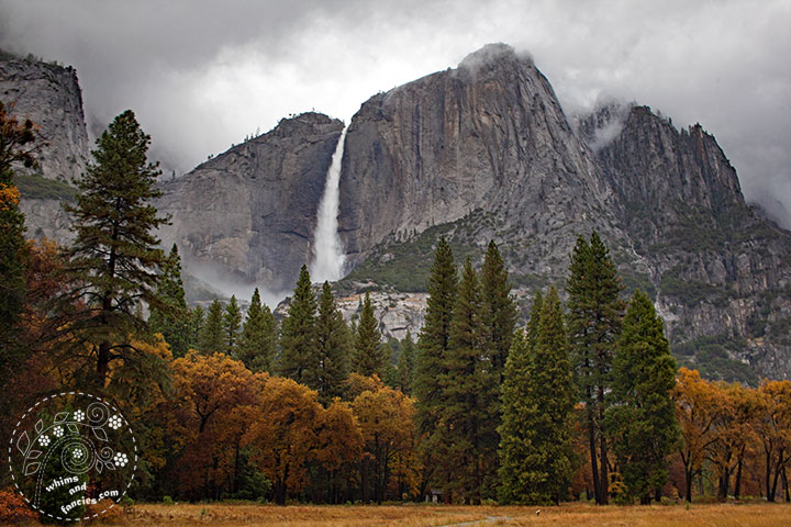 Yosemite National Park Photo | Whims And Fancies