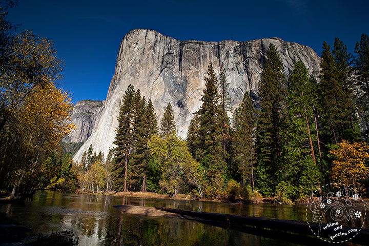 Yosemite National Park Photo | Whims And Fancies