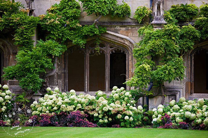 Magdalen College, Oxford England | Whims And Fancies