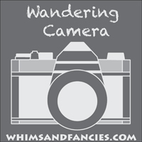 Wandering Camera Photo Linky Party