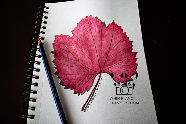 Fall Red Leaf Watercolour | Whims And Fancies